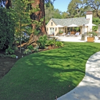 Artificial Grass Berkeley Illinois Landscape Recreational