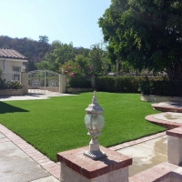 Artificial Grass Blue Island Illinois Lawn Front Yard