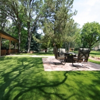 Artificial Grass Broadview Illinois Landscape Back Yard