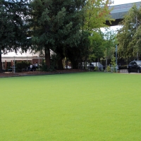 Artificial Grass East Hazel Crest Illinois Lawn Back Yard