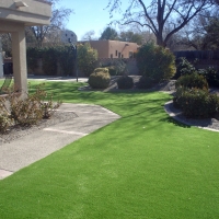 Artificial Grass Elmwood Park Illinois Landscape