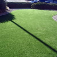 Artificial Grass Indian Head Park Illinois Lawn Back Yard