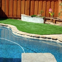 Artificial Grass River Forest Illinois Landscape