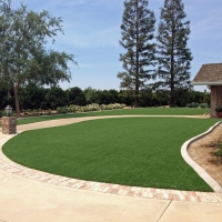 Artificial Grass Villa Park Illinois Lawn Back Yard