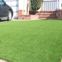 Artificial Grass Warrenville Illinois Landscape Back Yard