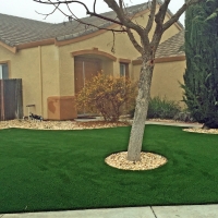 Artificial Grass Wayne Illinois Lawn