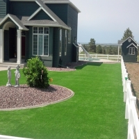 Artificial Grass Willowbrook Illinois Landscape