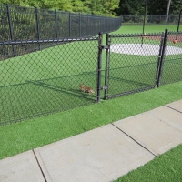 Artificial Grass Worth Illinois Kindergarten Front Yard