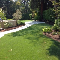 Artificial Turf Berkeley Illinois Lawn Front Yard