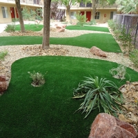 Artificial Turf Burr Ridge Illinois Landscape Back Yard