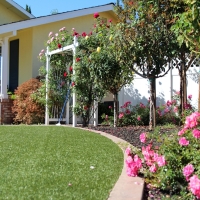 Artificial Turf East Hazel Crest Illinois Lawn Back Yard