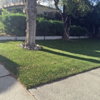 Artificial Turf Hobart Indiana Landscape