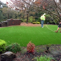 Artificial Turf Lisle Illinois Landscape Commercial Landscape