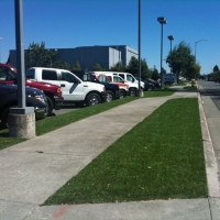 Artificial Turf Maywood Illinois Lawn Back Yard