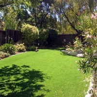 Artificial Turf Oak Lawn Illinois Lawn