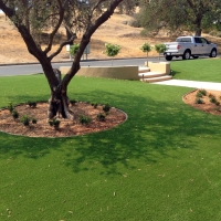 Artificial Turf Phoenix Illinois Landscape Front Yard