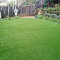 Artificial Turf Posen Illinois Landscape Back Yard