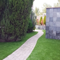 Artificial Turf Robbins Illinois Landscape Back Yard