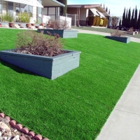 Artificial Turf South Barrington Illinois Lawn