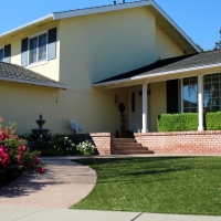 Artificial Turf Thornton Illinois Landscape Front Yard