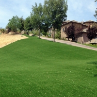 Artificial Turf Western Springs Illinois Landscape Back