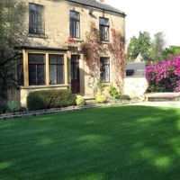 Fake Grass Dyer Indiana Lawn Back Yard