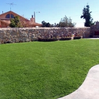 Fake Grass Frankfort Illinois Landscape Back Yard