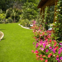 Fake Grass Orland Park Illinois Landscape Front Yard