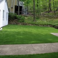 Fake Grass Park Ridge Illinois Lawn Front Yard