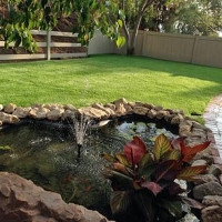 Fake Grass Romeoville Illinois Landscape Swimming Pools