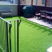 Fake Pet Grass Merrionette Park Illinois for Dogs Back Yard