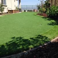 Fake Turf Chicago Ridge Illinois Landscape Front Yard