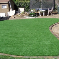 Fake Turf Hanover Park Illinois Lawn Back Yard