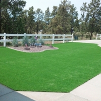 Fake Turf Maywood Illinois Landscape Front Yard