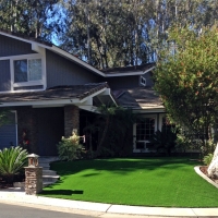 Fake Turf Ogden Dunes Indiana Lawn Back Yard