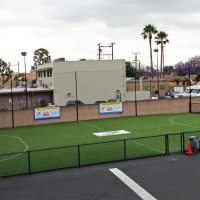 Fake Turf Stadium Burbank Illinois Commercial Landscape