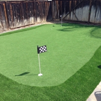 Golf Putting Greens Broadview Illinois Fake Grass Dog Kennels