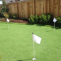 Golf Putting Greens Winnetka Illinois Fake Grass Back Yard