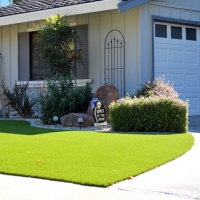 Synthetic Grass Country Club Hills Illinois Lawn Back Yard