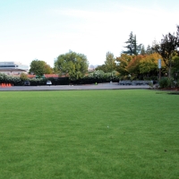 Synthetic Grass Country Club Hills Illinois School Back