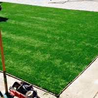 Synthetic Grass Des Plaines Illinois Lawn Back Yard