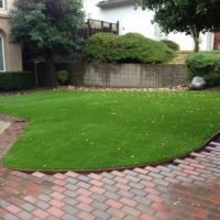 Synthetic Grass Dyer Indiana Lawn Front Yard