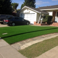 Synthetic Grass Glen Ellyn Illinois Lawn Deck