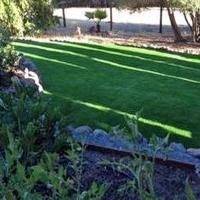 Synthetic Grass Glenview Illinois Landscape Front Yard