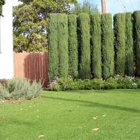 Synthetic Grass Lockport Illinois Landscape Front Yard