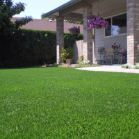 Synthetic Grass Oak Brook Illinois Landscape Back Yard