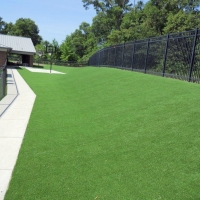 Synthetic Grass Willow Springs Illinois Landscape Back