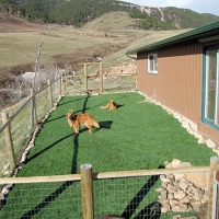 Synthetic Pet Grass Brookfield Illinois Installation Front