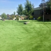 Synthetic Pet Turf Hodgkins Illinois Installation