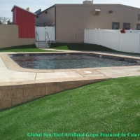 Synthetic Turf Berwyn Illinois Lawn